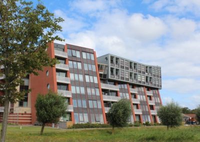 Buitenveld