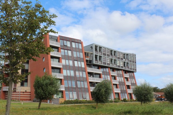 Buitenveld
