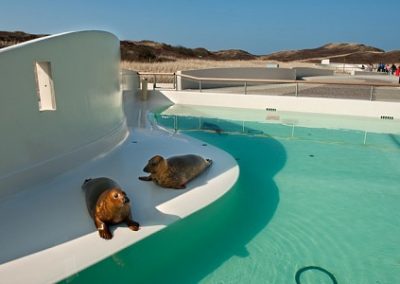 Nieuwbouw zeehondenbassins Eco Mare
