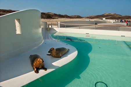 Nieuwbouw zeehondenbassins Eco Mare